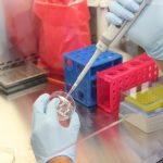 INVESTIGACIÓN Y DESARROLLO